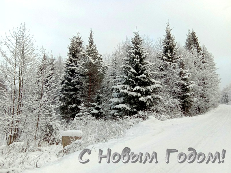 IMG_20181220_123233_2018-12-26_22_33_24