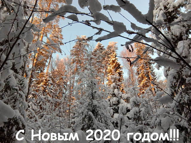 IMG_20181229_150716_2