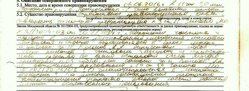 штраф_волкова